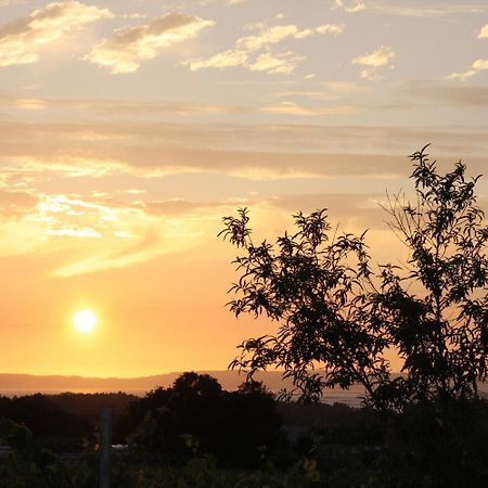 Affittacamere O Lar Da Avoa Cambados Esterno foto